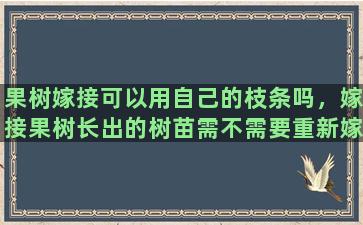 果树嫁接可以用自己的枝条吗，嫁接果树长出的树苗需不需要重新嫁接