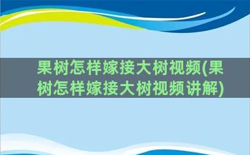 果树怎样嫁接大树视频(果树怎样嫁接大树视频讲解)