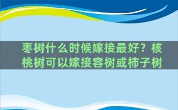 枣树什么时候嫁接最好？核桃树可以嫁接容树或柿子树