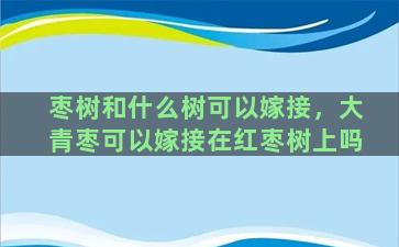 枣树和什么树可以嫁接，大青枣可以嫁接在红枣树上吗