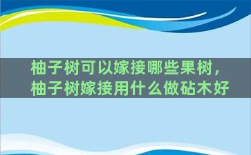 柚子树可以嫁接哪些果树，柚子树嫁接用什么做砧木好