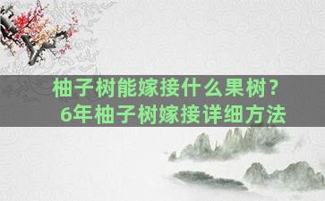 柚子树能嫁接什么果树？6年柚子树嫁接详细方法