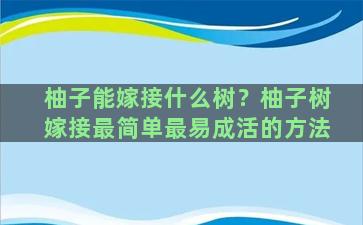 柚子能嫁接什么树？柚子树嫁接最简单最易成活的方法