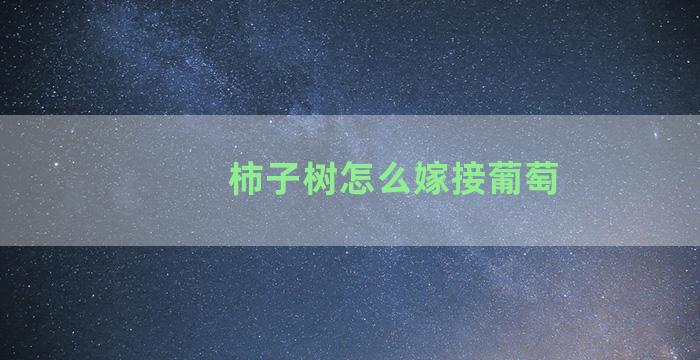 柿子树怎么嫁接葡萄