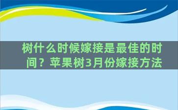 树什么时候嫁接是最佳的时间？苹果树3月份嫁接方法