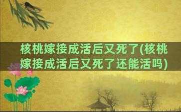 核桃嫁接成活后又死了(核桃嫁接成活后又死了还能活吗)