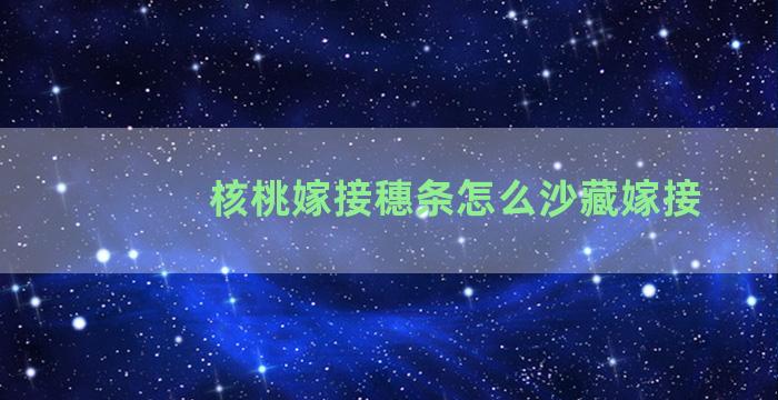 核桃嫁接穗条怎么沙藏嫁接