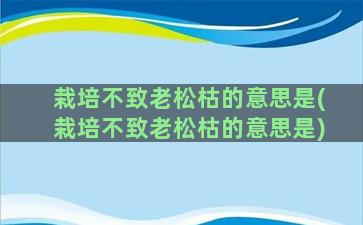 栽培不致老松枯的意思是(栽培不致老松枯的意思是)