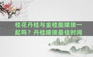 桂花丹桂与金桂能嫁接一起吗？丹桂嫁接最佳时间