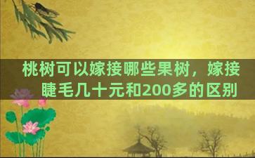 桃树可以嫁接哪些果树，嫁接睫毛几十元和200多的区别