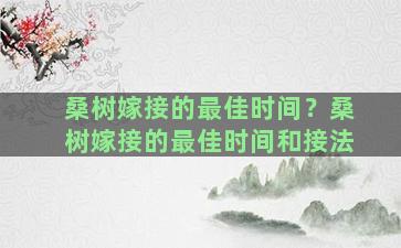 桑树嫁接的最佳时间？桑树嫁接的最佳时间和接法