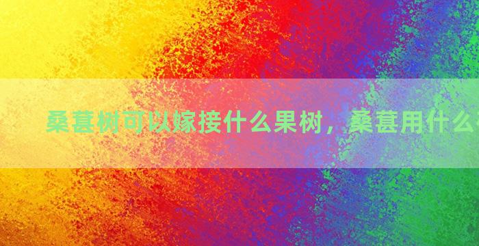 桑葚树可以嫁接什么果树，桑葚用什么砧木嫁接