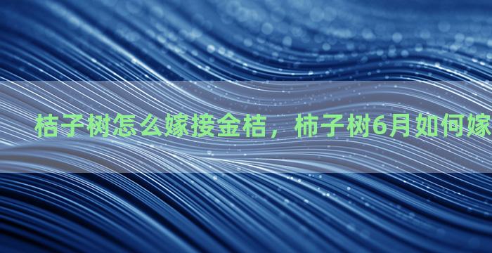 桔子树怎么嫁接金桔，柿子树6月如何嫁接有视频吗