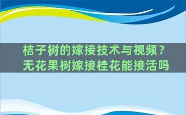 桔子树的嫁接技术与视频？无花果树嫁接桂花能接活吗