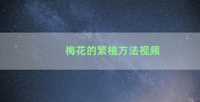 梅花的繁植方法视频