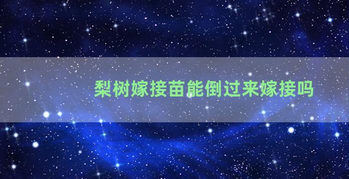 梨树嫁接苗能倒过来嫁接吗