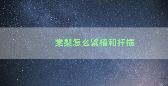 棠梨怎么繁植和扦插