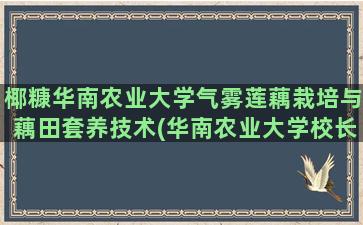 椰糠华南农业大学气雾莲藕栽培与藕田套养技术(华南农业大学校长)