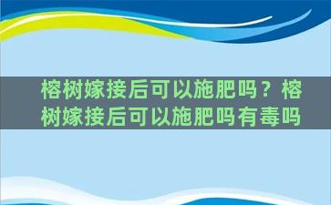 榕树嫁接后可以施肥吗？榕树嫁接后可以施肥吗有毒吗