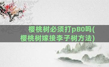 樱桃树必须打pB0吗(樱桃树嫁接李子树方法)