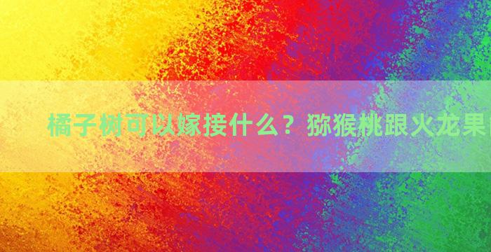 橘子树可以嫁接什么？猕猴桃跟火龙果能嫁接吗