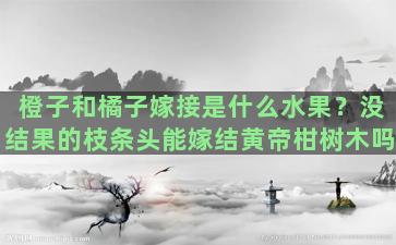 橙子和橘子嫁接是什么水果？没结果的枝条头能嫁结黄帝柑树木吗