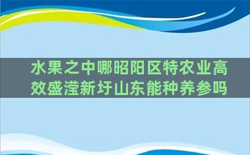 水果之中哪昭阳区特农业高效盛滢新圩山东能种养参吗