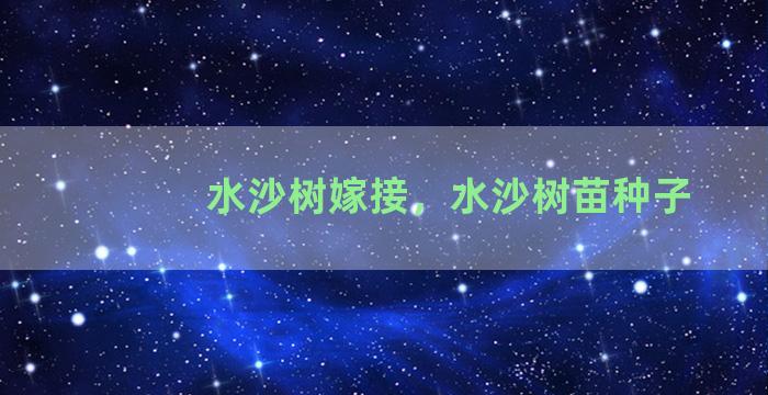 水沙树嫁接，水沙树苗种子