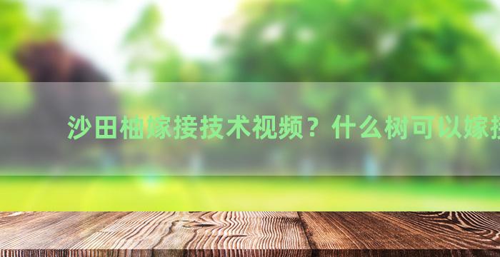 沙田柚嫁接技术视频？什么树可以嫁接柚子