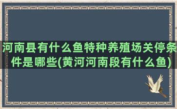 河南县有什么鱼特种养殖场关停条件是哪些(黄河河南段有什么鱼)