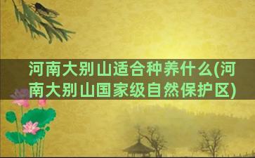 河南大别山适合种养什么(河南大别山国家级自然保护区)