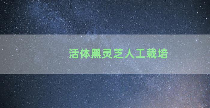 活体黑灵芝人工栽培