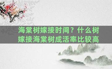 海棠树嫁接时间？什么树嫁接海棠树成活率比较高