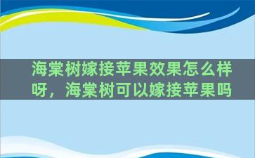 海棠树嫁接苹果效果怎么样呀，海棠树可以嫁接苹果吗