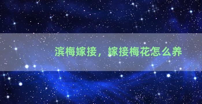 滨梅嫁接，嫁接梅花怎么养