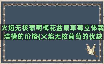 火焰无核葡萄梅花盆景草莓立体栽培槽的价格(火焰无核葡萄的优缺点)