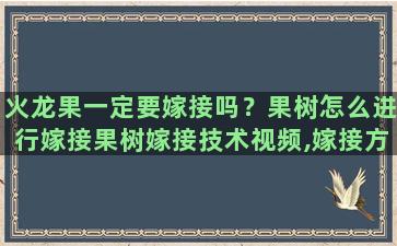 火龙果一定要嫁接吗？果树怎么进行嫁接果树嫁接技术视频,嫁接方法图解