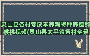 灵山县各村零成本养鸡特种养殖猕猴桃视频(灵山县太平镇各村全景)