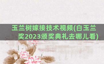 玉兰树嫁接技术视频(白玉兰奖2023颁奖典礼去哪儿看)