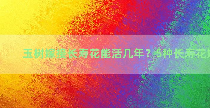 玉树嫁接长寿花能活几年？5种长寿花嫁接方法