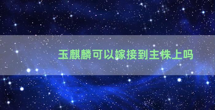 玉麒麟可以嫁接到主株上吗