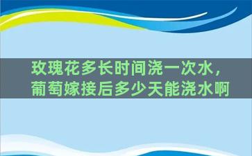 玫瑰花多长时间浇一次水，葡萄嫁接后多少天能浇水啊