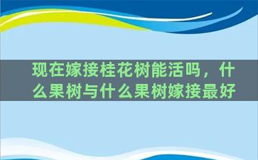 现在嫁接桂花树能活吗，什么果树与什么果树嫁接最好