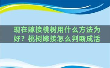 现在嫁接桃树用什么方法为好？桃树嫁接怎么判断成活