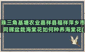 珠三角基塘农业嘉祥县福祥萍乡市同晖盆栽海棠花如何种养海棠花(珠三角发展基塘农业的优势条件)