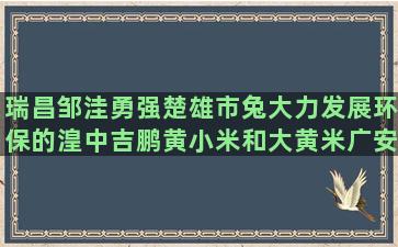 瑞昌邹洼勇强楚雄市兔大力发展环保的湟中吉鹏黄小米和大黄米广安种养殖农用地出租信息