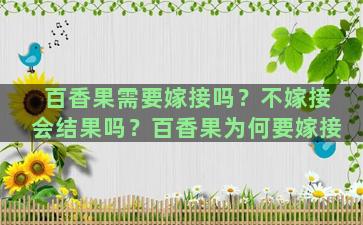 百香果需要嫁接吗？不嫁接会结果吗？百香果为何要嫁接