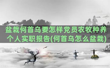 盆栽何首乌要怎样党员农牧种养个人实职报告(何首乌怎么盆栽)