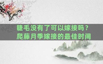 睫毛没有了可以嫁接吗？爬藤月季嫁接的最佳时间