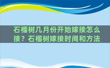 石榴树几月份开始嫁接怎么接？石榴树嫁接时间和方法